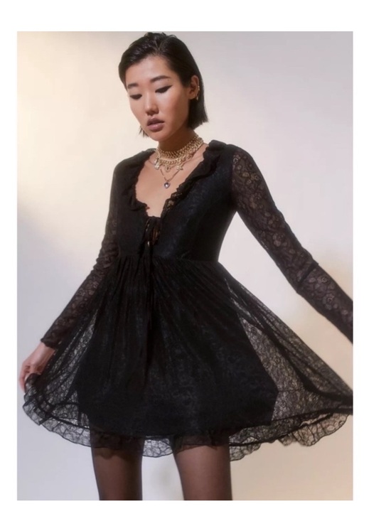 Urban Outfitters Dresses & Skirts - UO Janet Lace Long Sleeve Mini Dress